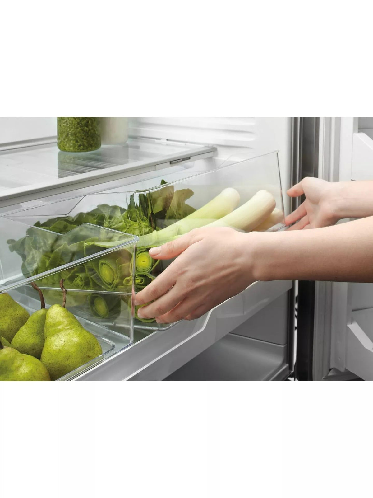 569L French Door Freestanding  Fridge Freezer, Stainless Steel, Frost Free, E Energy Rating